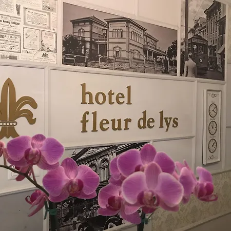 Fleur De Lys-3